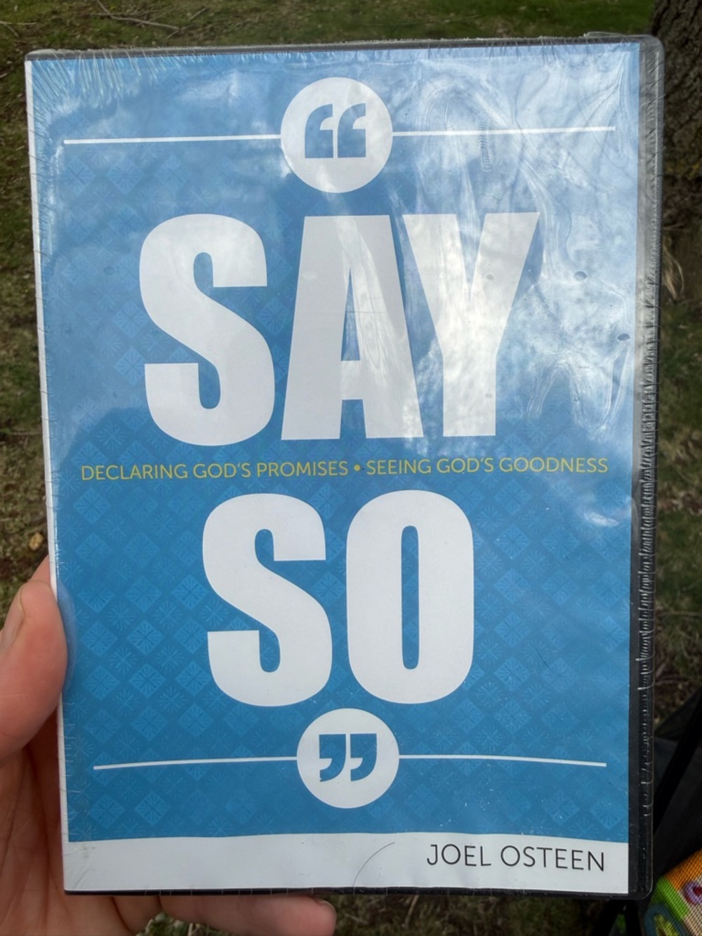 Say So- Declaring God’s promises and seeing God’s goodness 31 Day Devotion